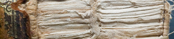 bandeau dos livre